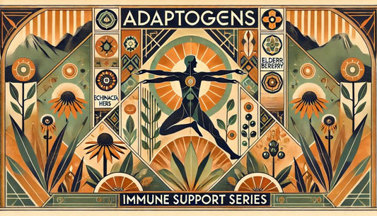 An art deco image showing a female figure for immune support health