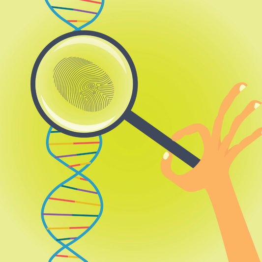 The MTHFR gene and mental health: what to look for and how to manage it