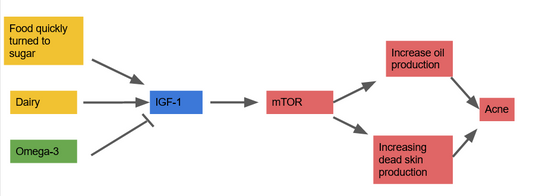 What causes acne and how to improve it?