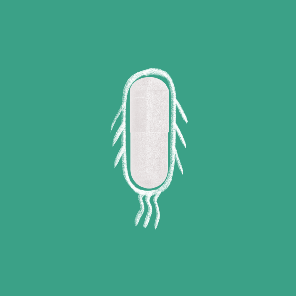 White allicin capsule with stylized wings and motion lines sketched in chalk on a dark teal background, representing gut microbes.