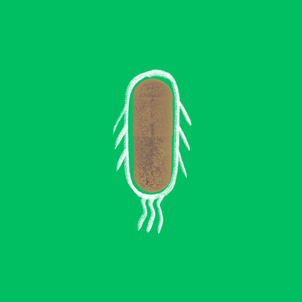 Illustrative image of a natural herbal capsule with white drawn wings and motion lines, representing an anti-candida herbal antibiotic concept on a green background.