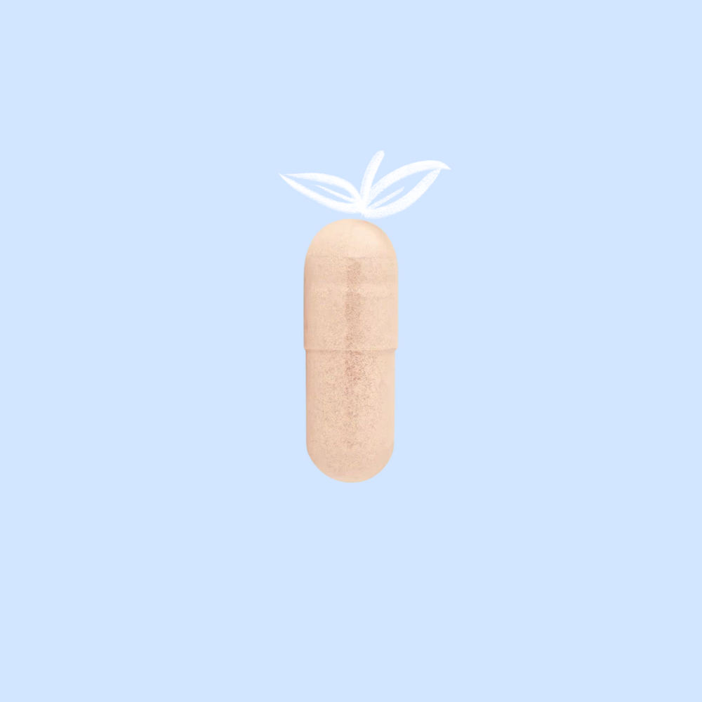 Image of a capsule of astragulus
