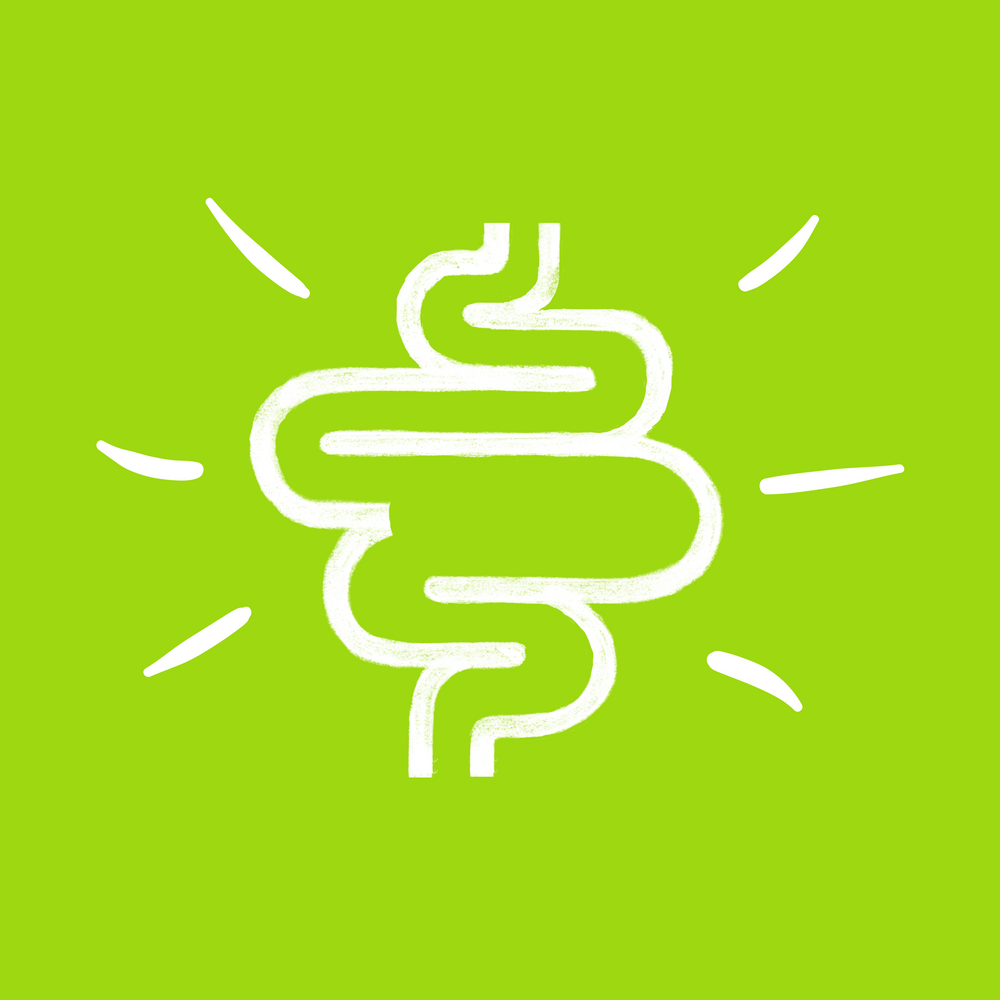 Comprehensive: IBS-SIBO Solution Course - Mastering SIBO Treatment