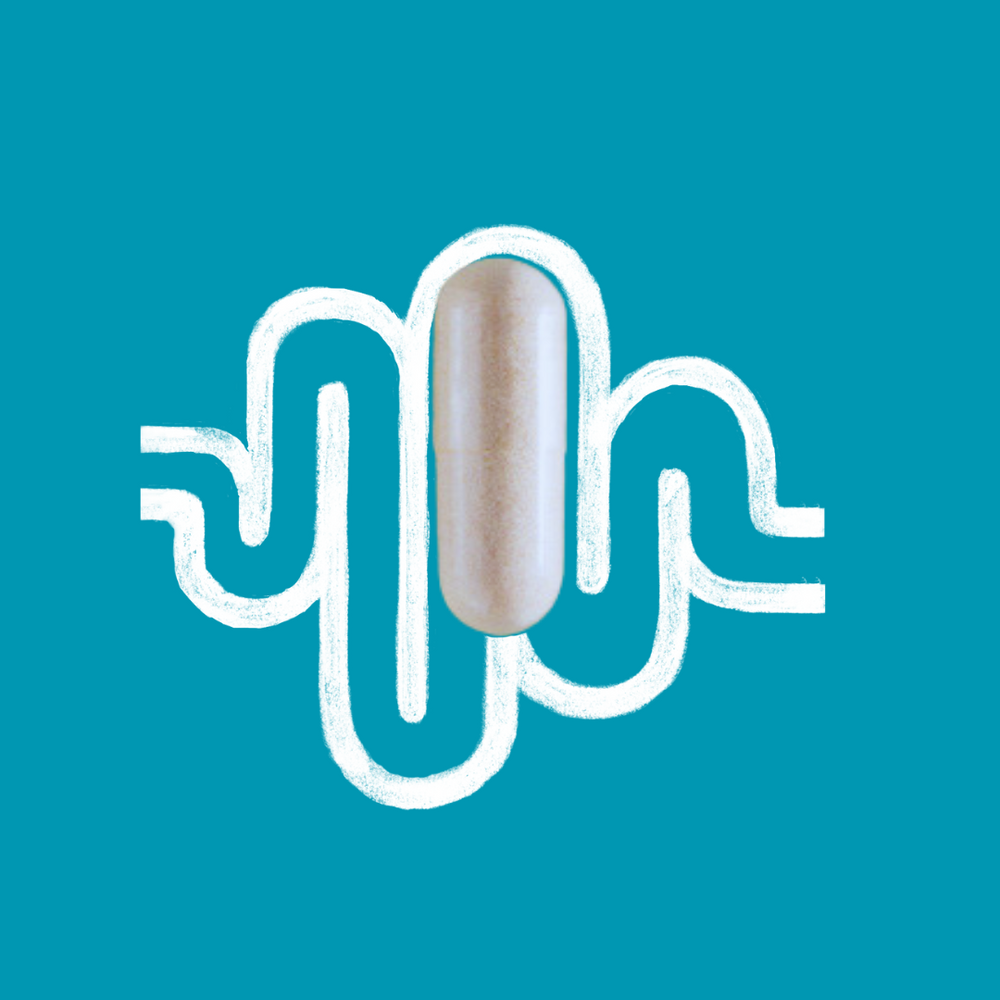 Enhanced digestive enzymes & probiotics
