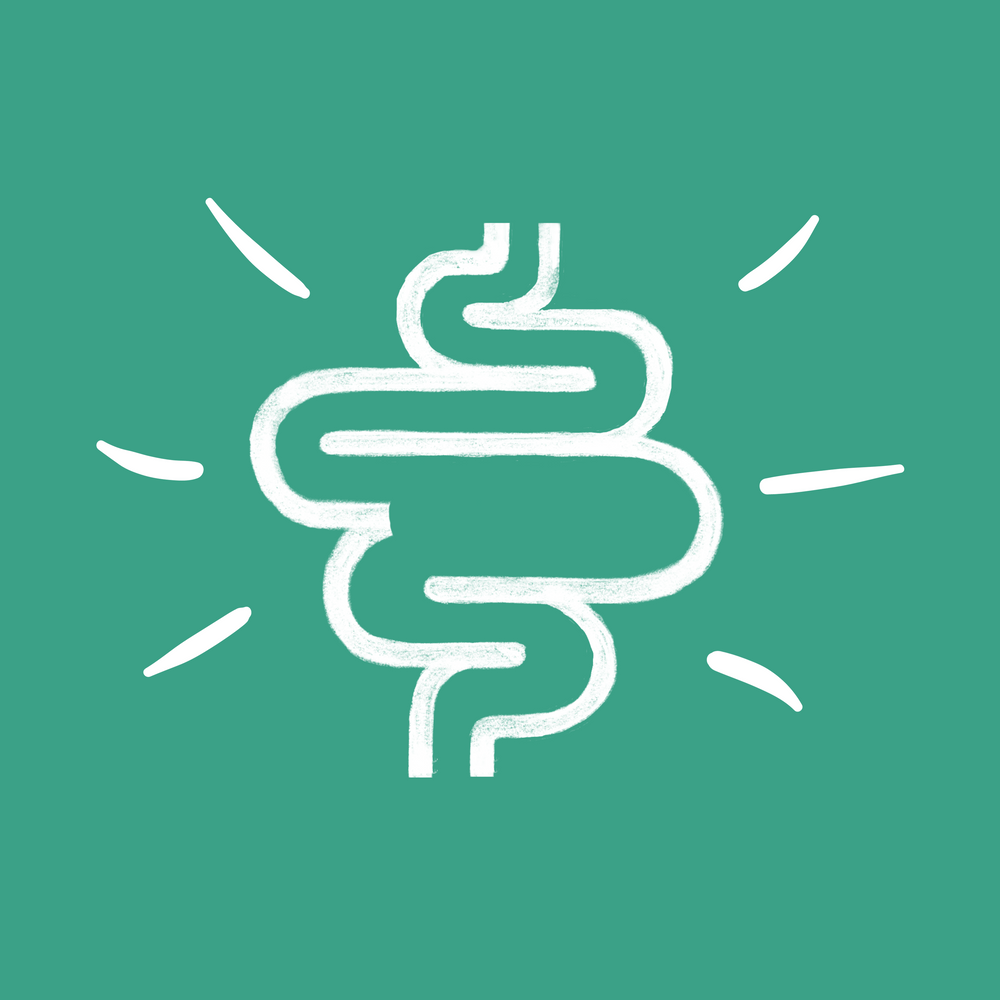 Essential: IBS-SIBO Solution Course - Mastering SIBO Treatment