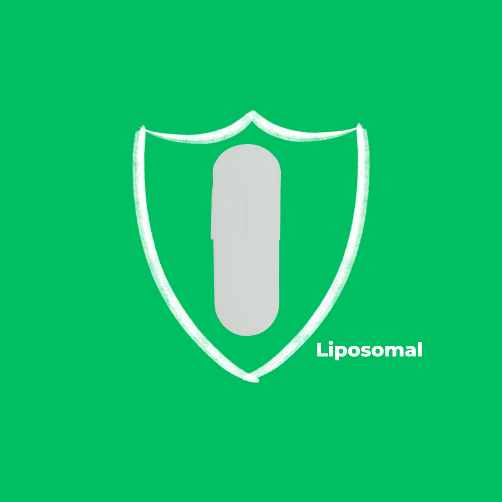 Liposomal trans-resveratrol | 10x absorption