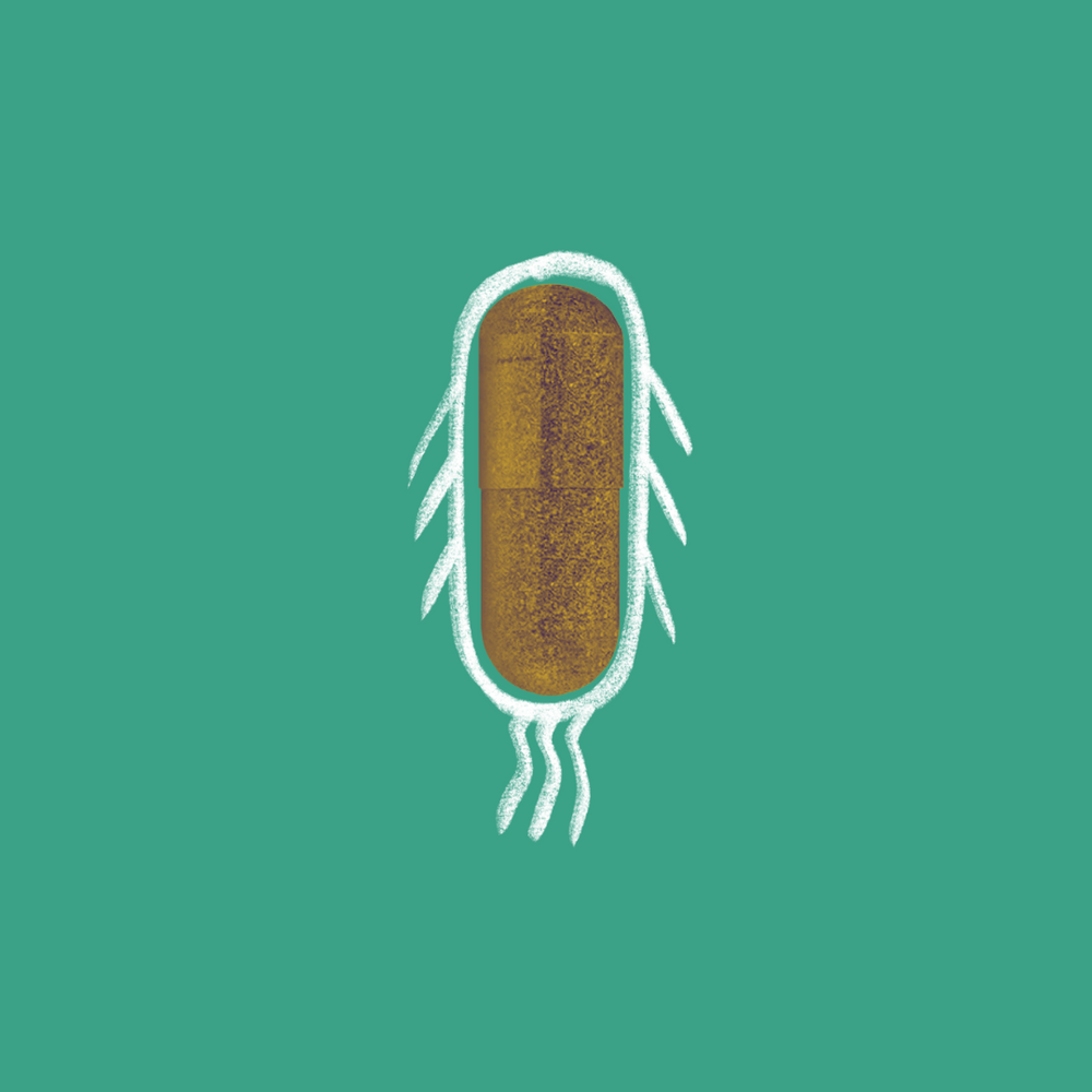 Saccharomyces Boulardii