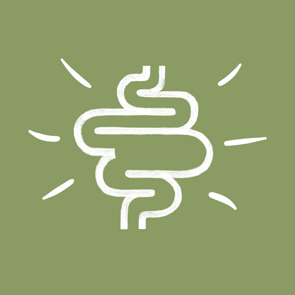 Ultimate: IBS-SIBO Solution Course - Mastering SIBO Treatment
