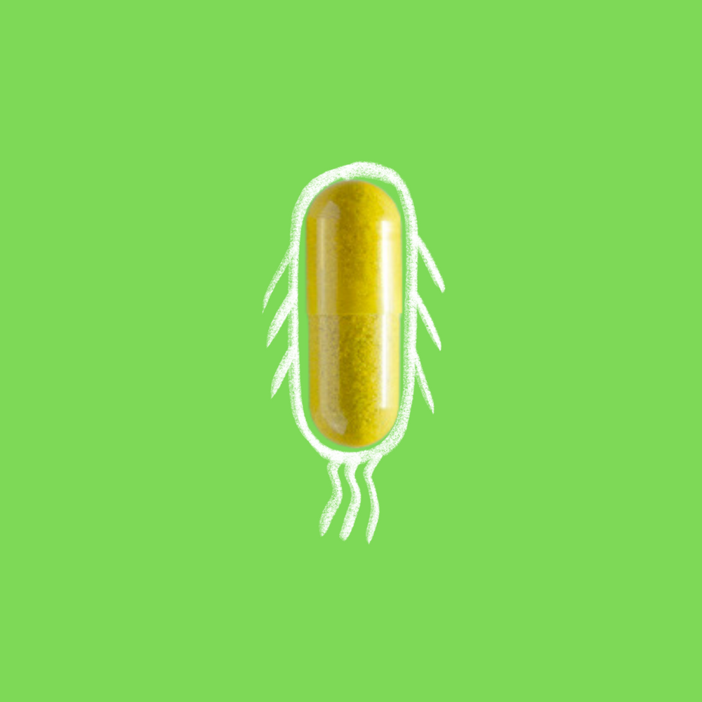 Golden berberine supplement capsule with chalk-drawn wings and tail on a vivid green background, suggesting the natural supplement's benefits for microbiome and gut support.