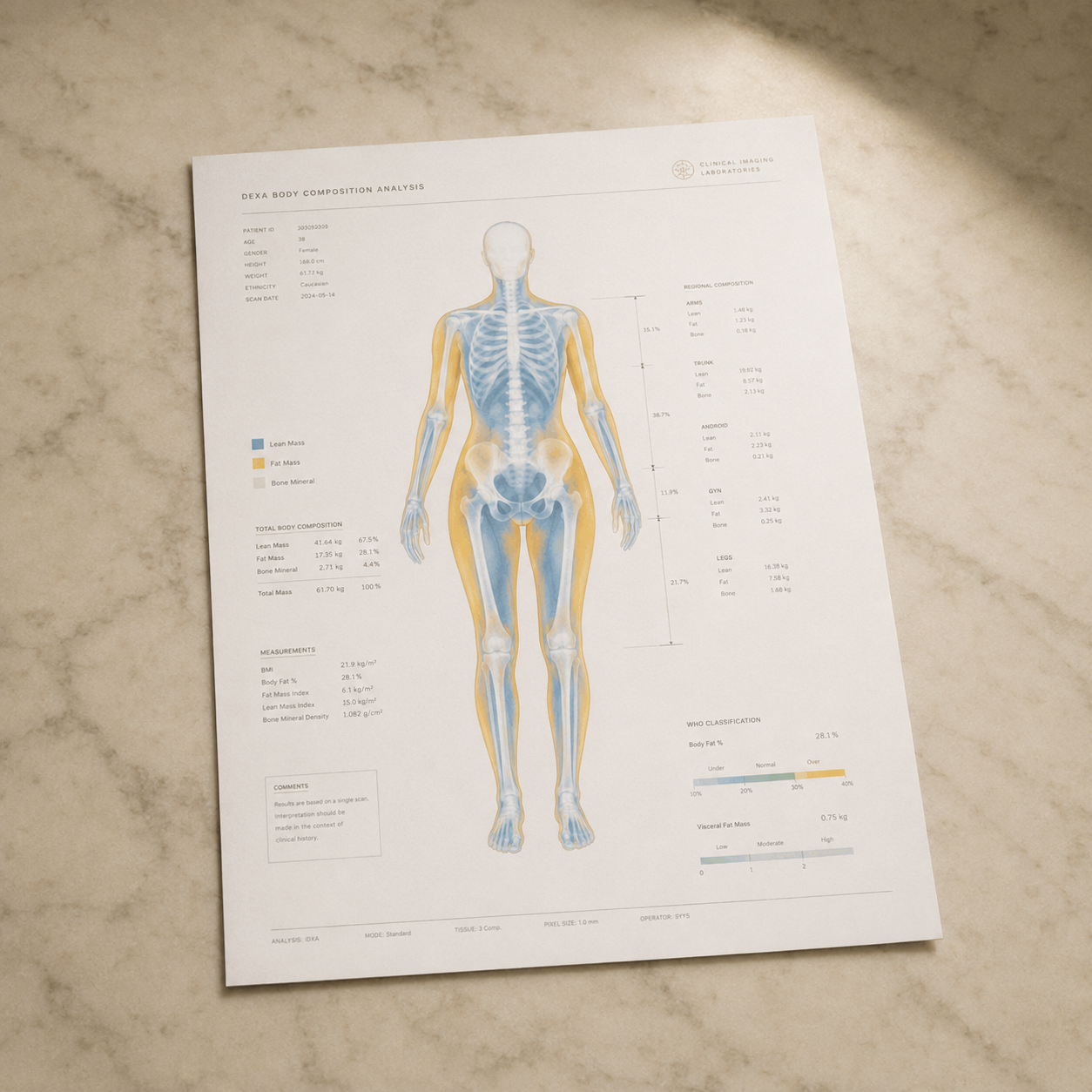 DEXA scan body and bone composition