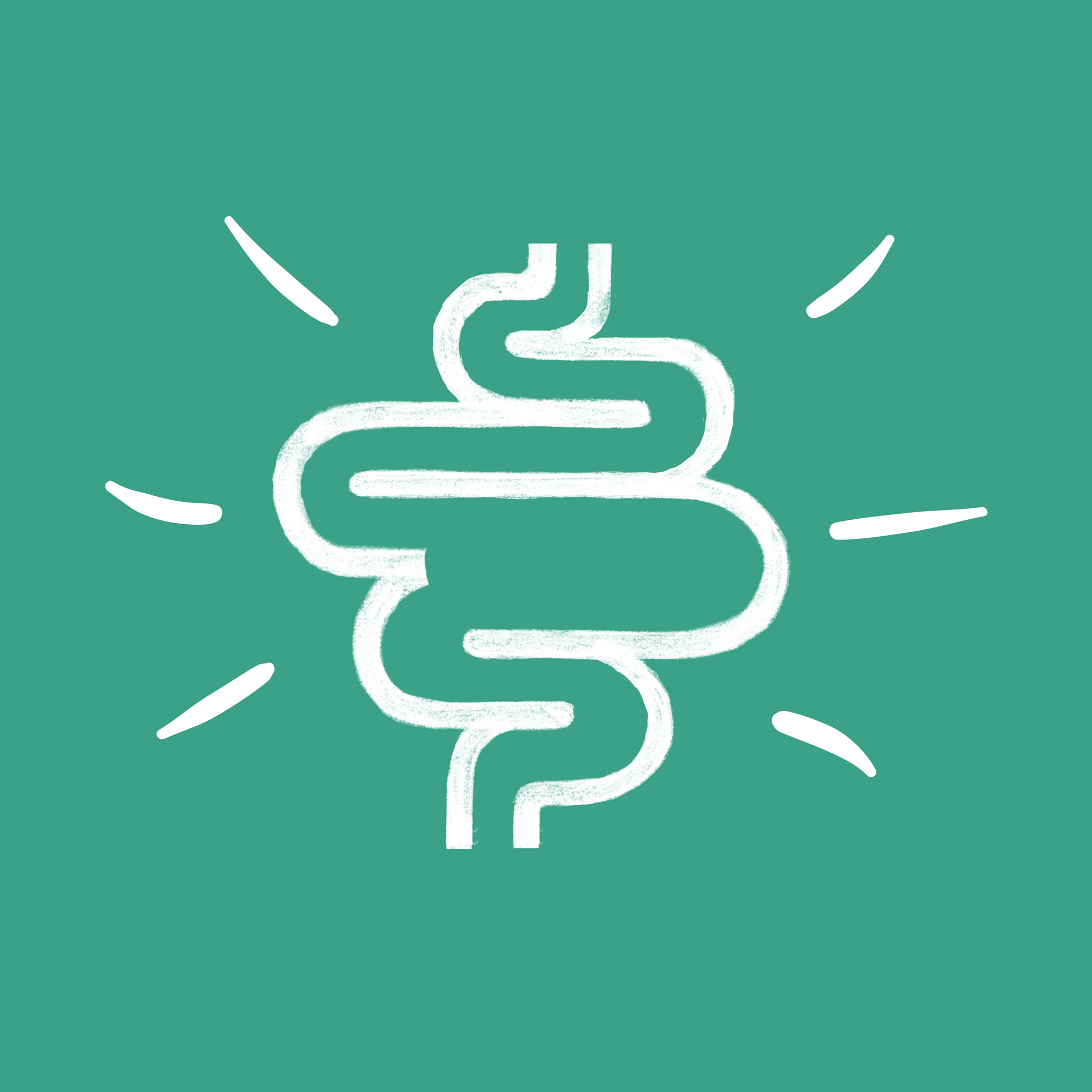 Essential: IBS-SIBO Solution Course - Mastering SIBO Treatment
