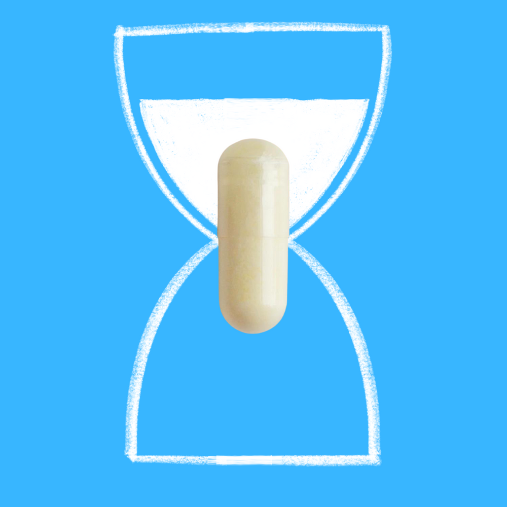 A single off-white Lactobacillus fermentum capsule is depicted within a drawn hourglass on a sky-blue background.
