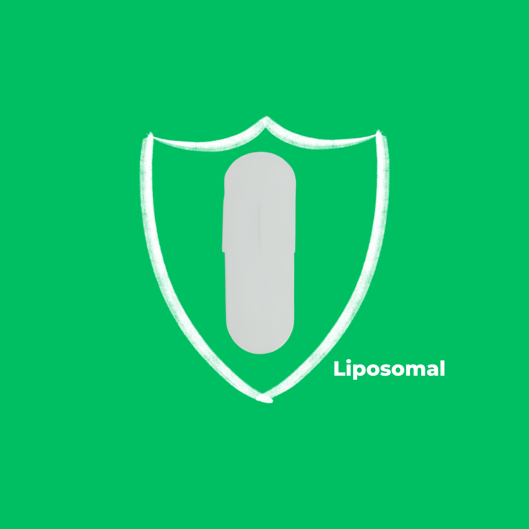 Liposomal trans-resveratrol | 10x absorption