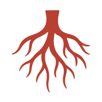 Root cause approach